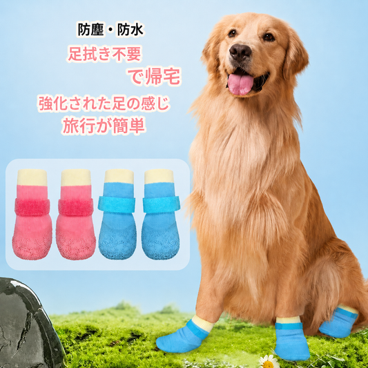 耐摩耗ドッグソックスシューズ